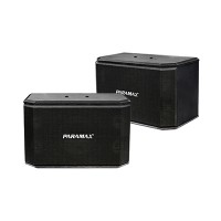 Loa karaoke Paramax P1000