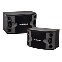 Loa karaoke Paramax P500