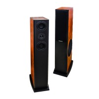 Loa karaoke Paramax D2000s