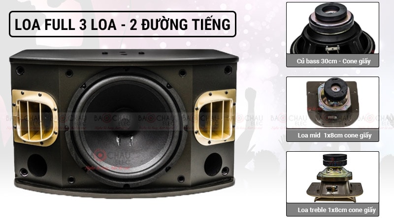 Loa karaoke BMB CSV 900SE (bass 30cm)