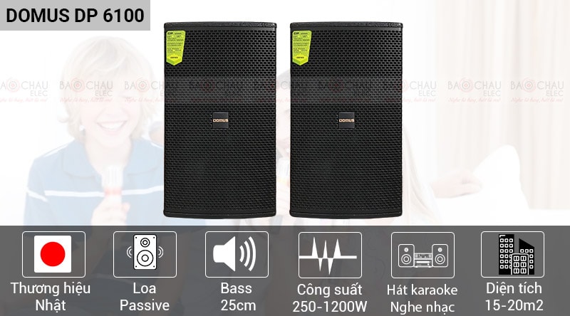 Loa karaoke Domus DP6100