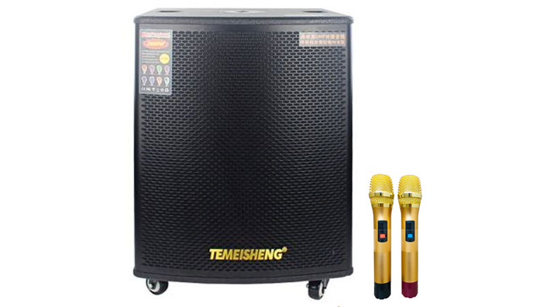 Loa kéo Temeisheng GD 18-03 (Bass 50cm, 800W, Kèm 2 micro, Pin 4-8h)