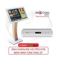 Combo VietKTV HD Pro 6TB + màn 22 inch