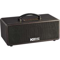 Loa Acnos KBeatbox KS361MS