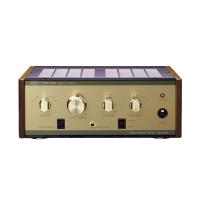 Amply Leben CS-300XS (SX: Japan)