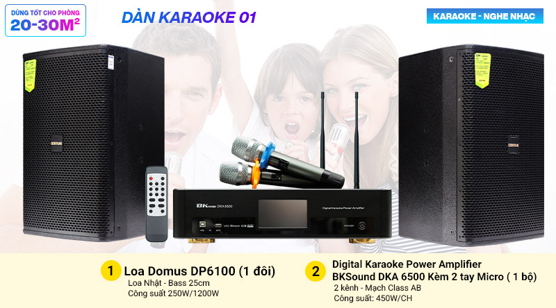 Dàn karaoke 01 (Domus DP6100 + BKsound DKA 6500)