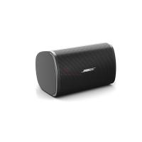 Loa BOSE DESIGNMAX DM2S