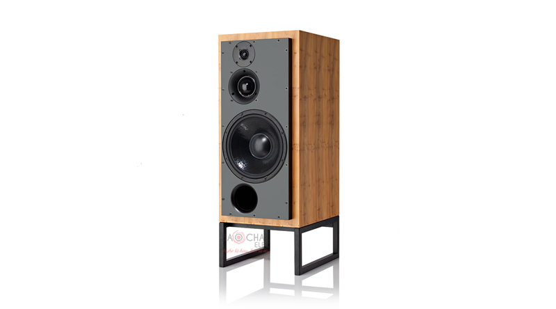 Loa ATC SCM 100PSLT (Bookshelf)