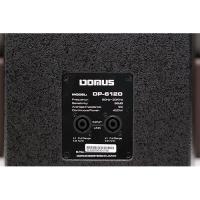 Loa karaoke Domus DP 6120 (bass 30cm)