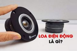 Loa điện động là gì? Nguyên lý hoạt động của loa điện động?