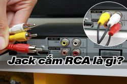 Jack cắm RCA là gì? Chức năng của RCA mà bạn nên biết