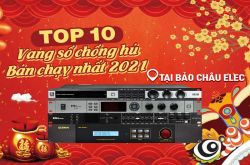 Top 10 Vang số karaoke chống hú bán chạy nhất năm 2021 tại Bảo Châu Elec