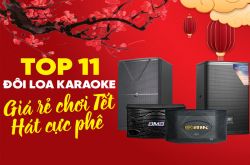 Top 11 đôi loa karaoke giá rẻ chơi Tết, hát cực phê cùng gia đình