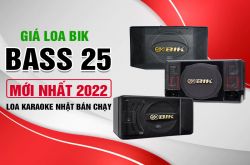 Giá Loa BIK bass 25 mới nhất 2022 - Loa karaoke Nhật bán cực chạy