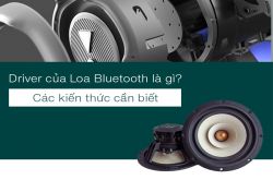 Driver của Loa Bluetooth là gì? Các kiến thức cần biết