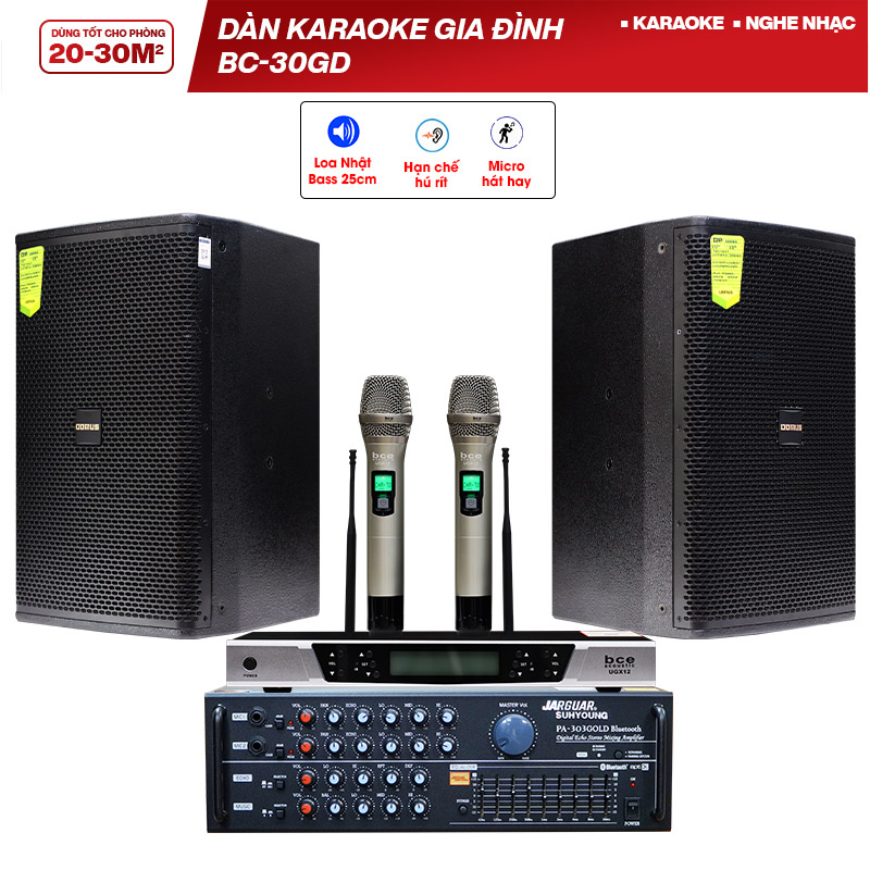 Dàn karaoke gia đình BC-30GD (Domus DP6100, Jarguar PA 303 Gold Bluetooth, BCE UGX12)