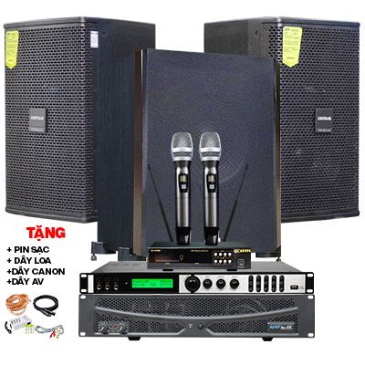 Dàn karaoke Domus cao cấp 10 (Domus DP6120 Max, APP MZ-66, X6 Luxury, SW612B, BIK BJ-U100)