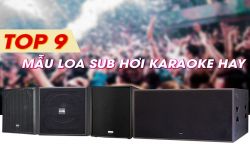 Top 9 mẫu Loa sub hơi karaoke hay tốt nhất hiện nay