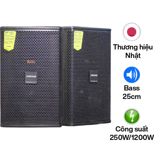 Loa karaoke Domus DP6100 MAX (Full bass 25cm)
