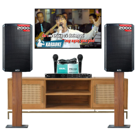 Dàn karaoke mái ấm gia đình Alto 29 (Alto TS308, BKSound DSP-9000 Plus, BIK Pro 8X)