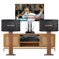 Dàn karaoke gia đình BIK 24 (BIK BJ S668, BIK VM420A, BKSound X5 Plus, BIK BJ U100)