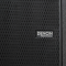 Loa sub Denon DN-U118B (bass 50cm)
