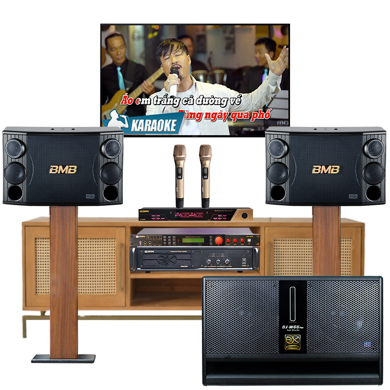 Dàn karaoke gia đình cao cấp GD01 (BMB 880SE, BIK VM630A, BIK BRP-5600, BIK BJ W66 Plus, BIK BJ U600)