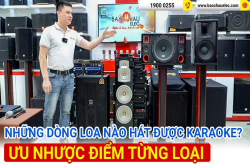 Điểm danh những dòng loa nào hát được karaoke, ưu nhược điểm từng loại loa 