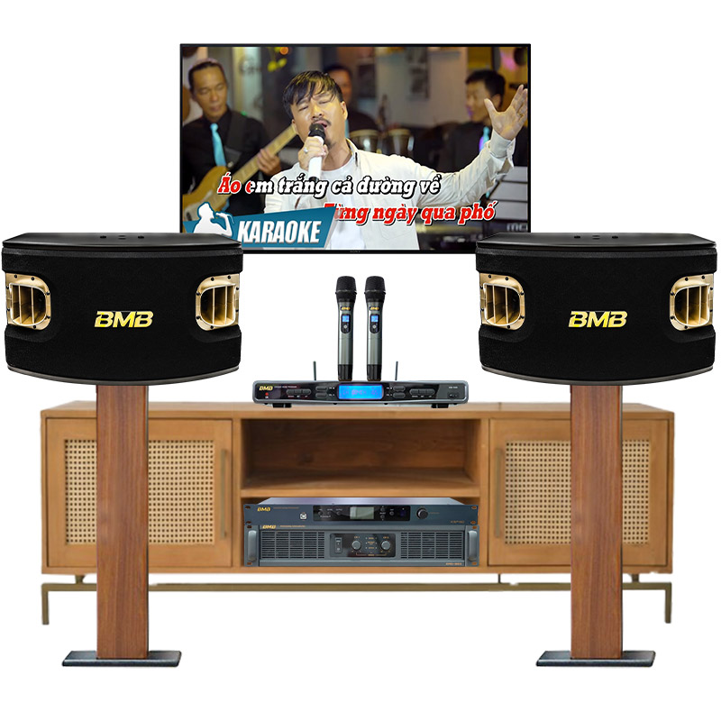 Dàn karaoke gia đình BMB cao cấp 09 (BMB CSV 900SE, BMB DAD 950SE, BMB KSP 50, BMB WB 5000)