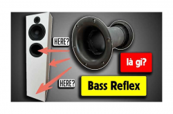 Bass Reflex là gì? Ưu nhược điểm của Bass Reflex?
