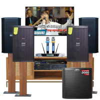 Dàn karaoke cao cấp Luxury 01 (BIK BSP 410II, Domus DP6100 MAX, Alto TS312S, BIK VM640A, BIK BPR-8500, BCE UGX12 Luxury)