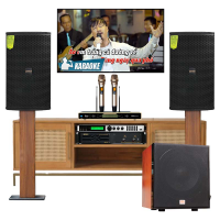Dàn karaoke Domus cao cấp 14 (Domus DP 6150, BIK VM 820A, Bksound X6 Luxury, Bksound SW815, BCE UGX12 Gold)