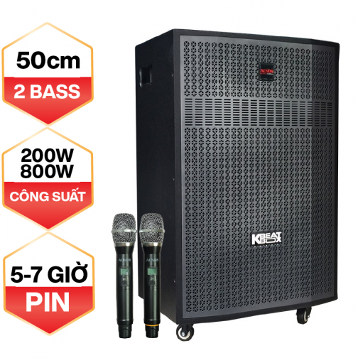 Dàn Karaoke Di Động ACNOS CB56G (Bass 50cm, 200W, Kèm 2 Micro)