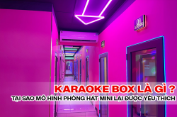 Karaoke Box là gì? Tại sao mô hình kinh doanh phòng hát mini lại được yêu thích
