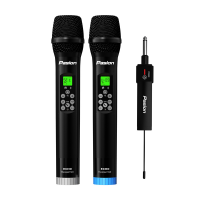 Micro Không Dây Paramax Pasion Echo (DSP, Có Echo)