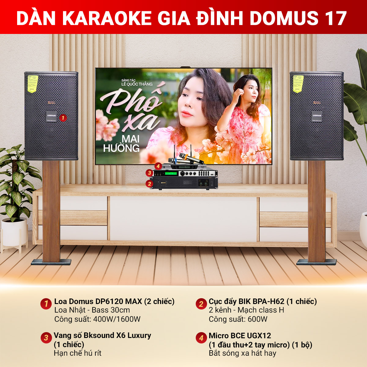 Dàn karaoke gia đình Domus 17