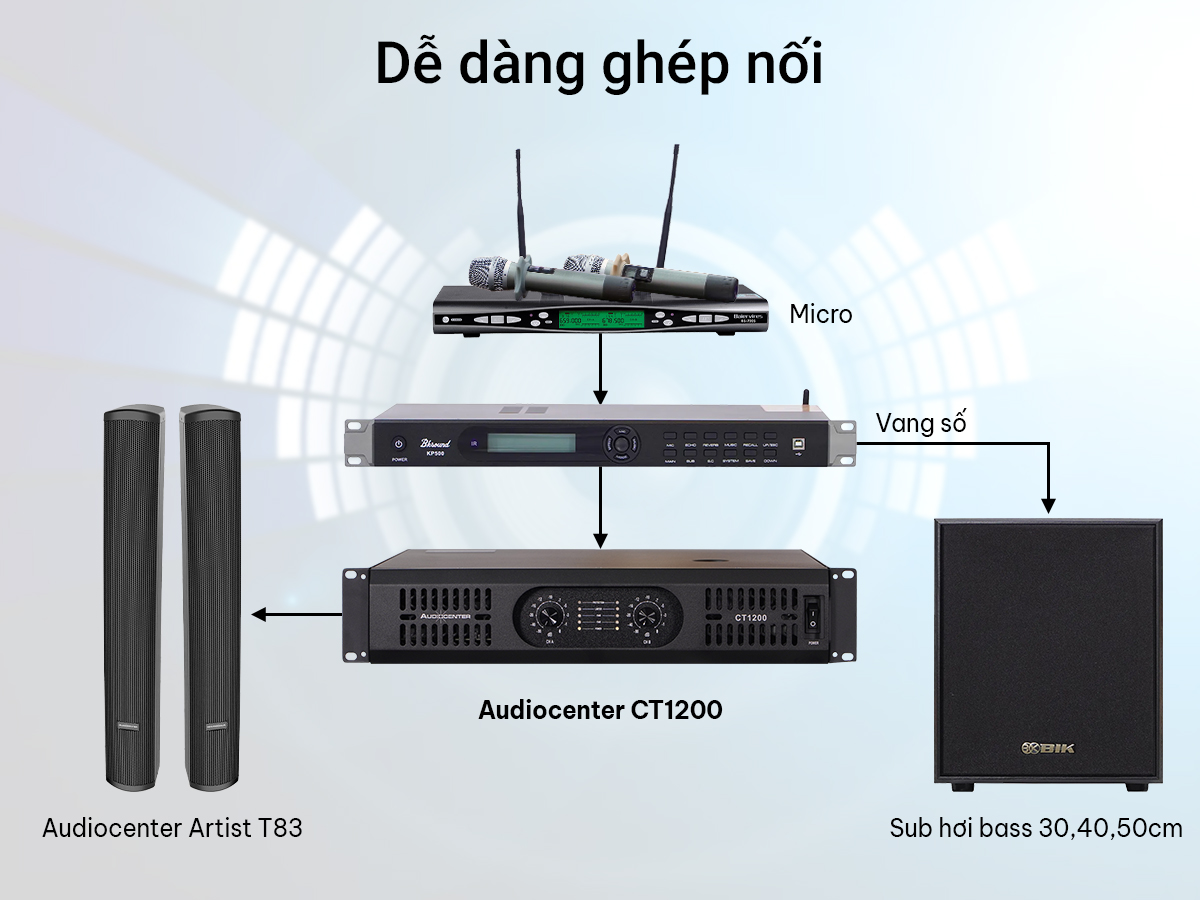 Cục đẩy 2 Kênh Audiocenter CT1200