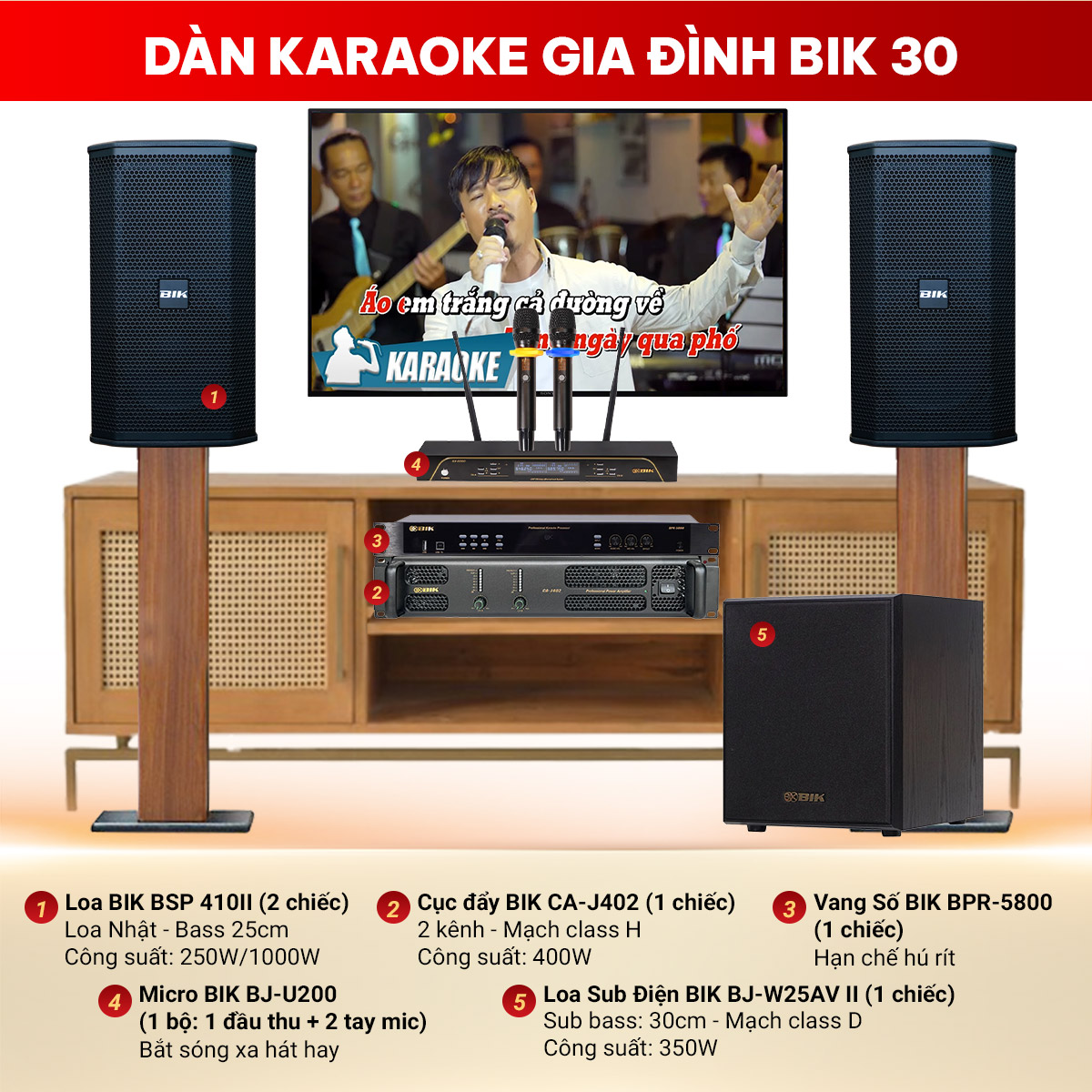 Dàn karaoke gia đình BIK 30