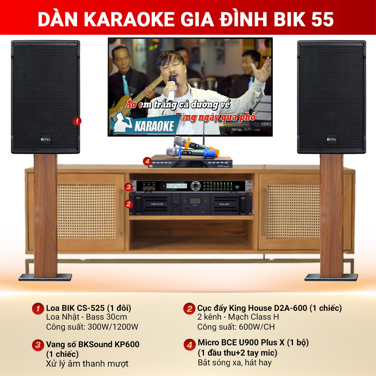 Dàn karaoke gia đình BIK 55