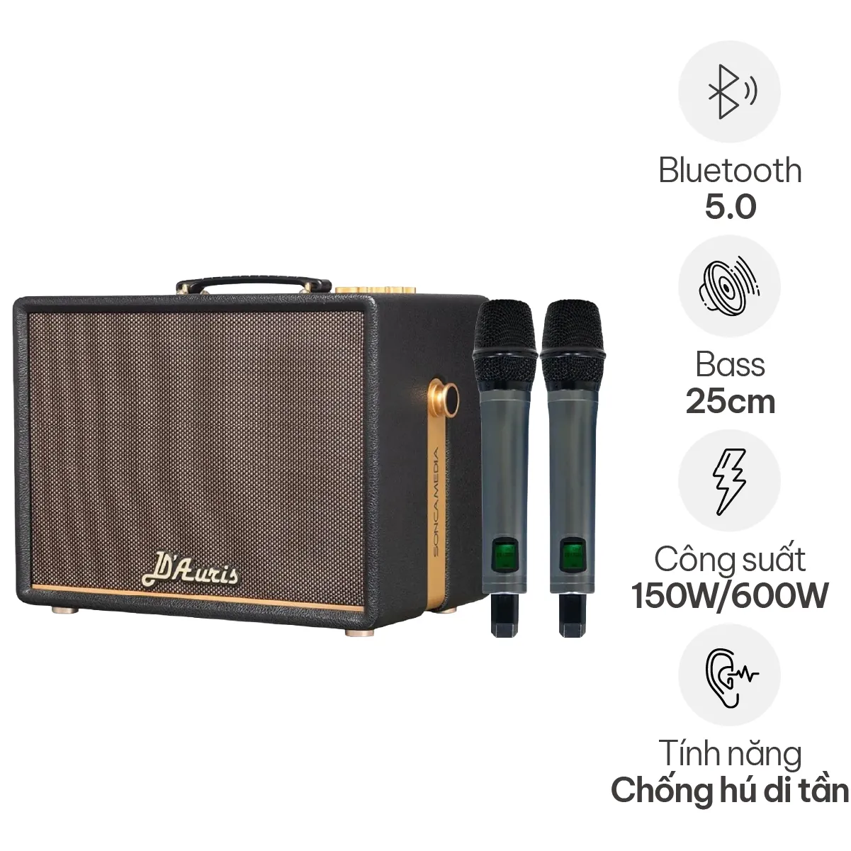 Loa Acnos D'Auris 200(Bass 25cm, 150W RMS, Kèm 2 micro) - Hình 2