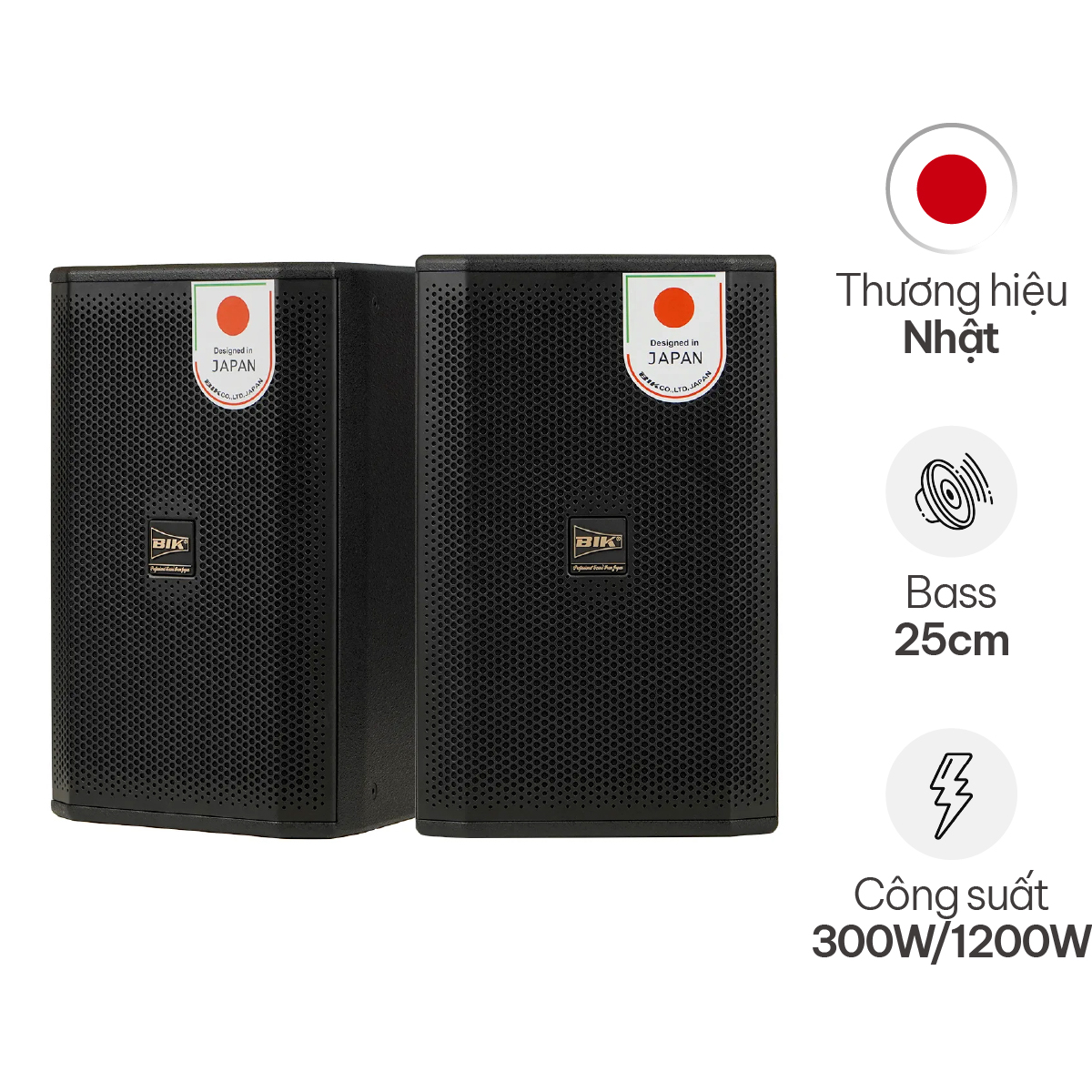 Loa karaoke Nhật BIK CS-620 (Full bass 25cm, 300W RMS)