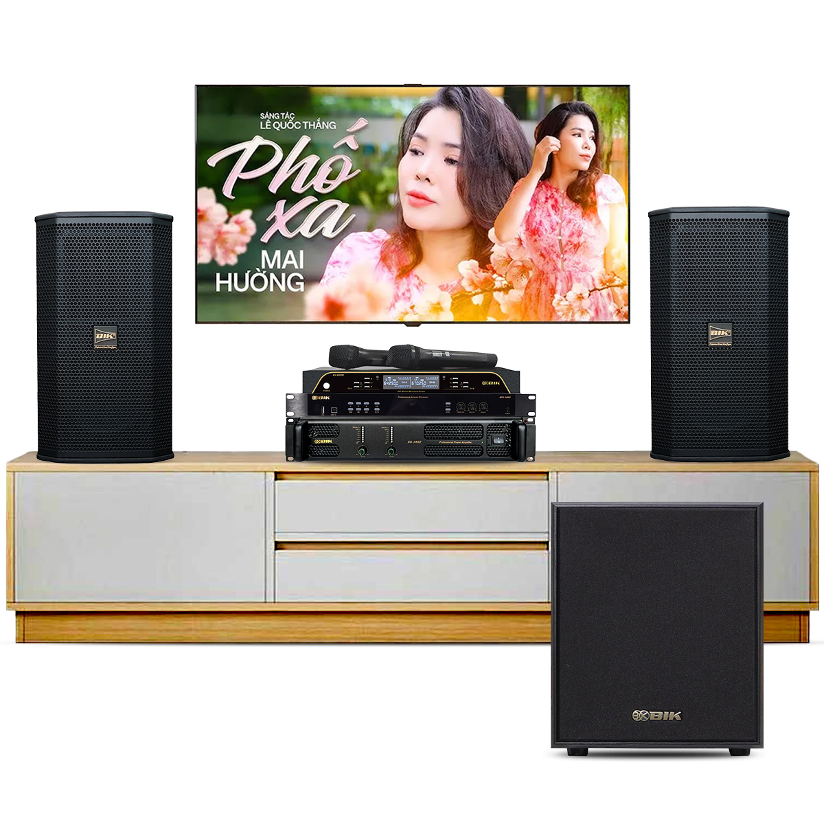 Dàn karaoke gia đình BIK 30