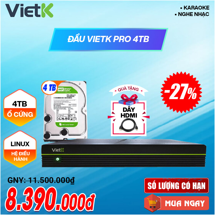 Đầu VietK Pro 4TB