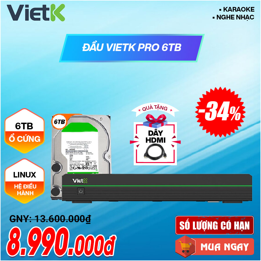 Đầu VietK Pro 6TB