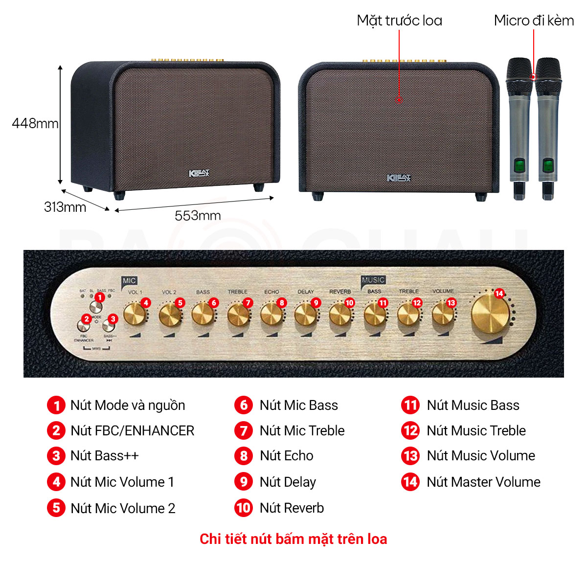 Loa Acnos Acoustic 3