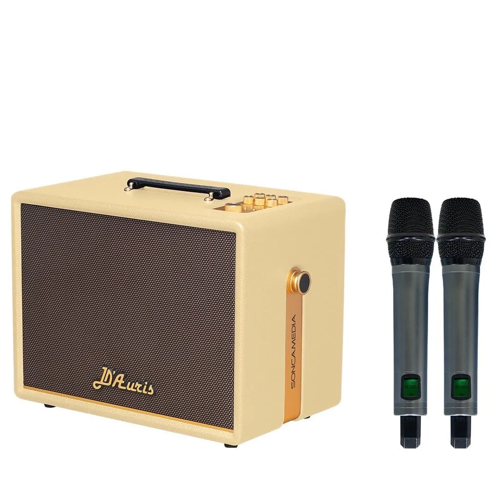 Loa Acnos D'Auris 200(Bass 25cm, 150W RMS, Kèm 2 micro) - Hình 1