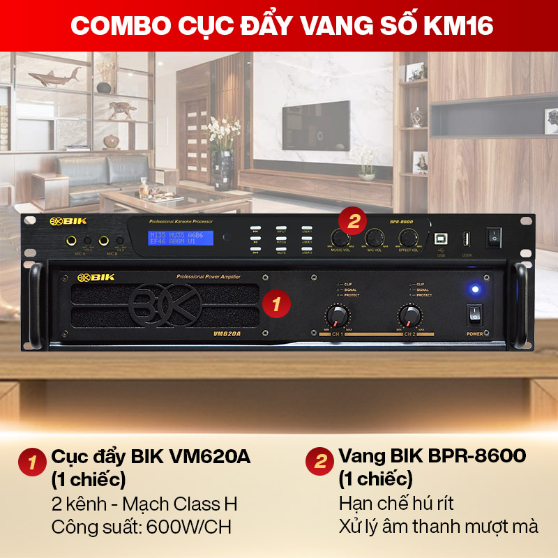 Combo đẩy vang KM16