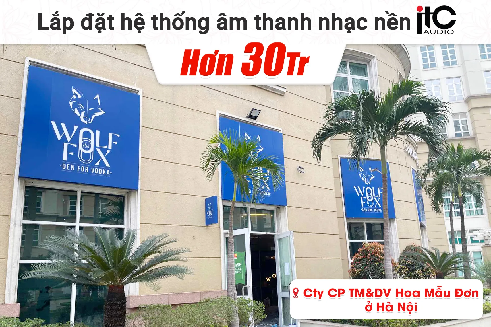 Lắp đặt âm thanh nhạc nền ITC hơn 30tr cho Công Ty CP TM&DV Hoa Mẫu Đơn tại Hà Nội