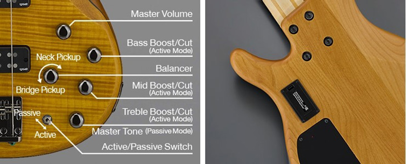 Đàn Guitar Yamaha TRBX605FM