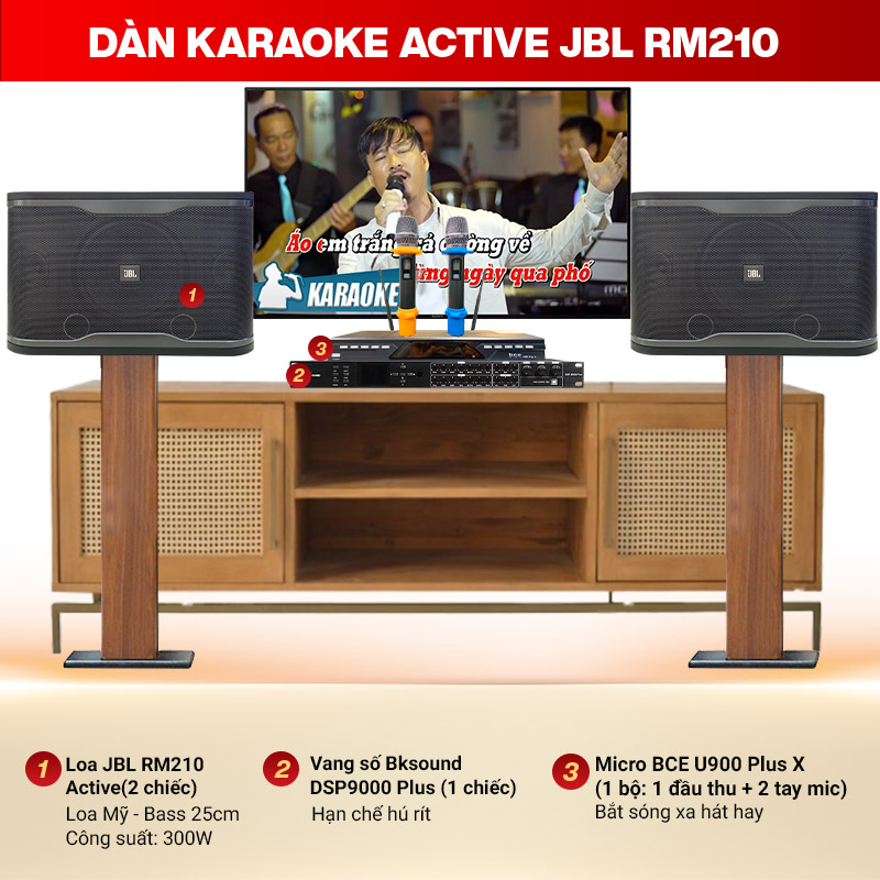 Dàn karaoke gia đình JBL RM210 (Active - New 2024)